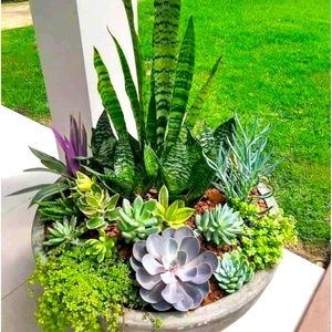 Meet your Posher, Cosmos